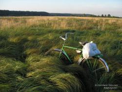 Велосипед в траве