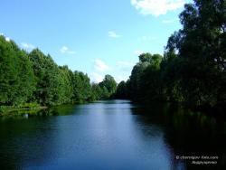 Лесное озеро в селе Хотиевка