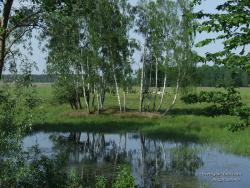Озеро у села Углы Семеновского района