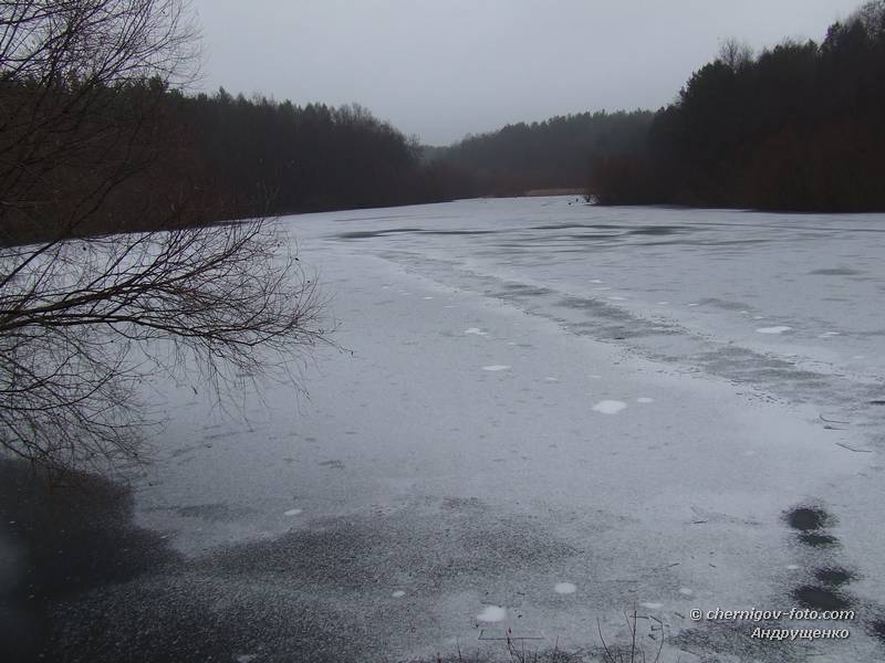 Лесное озеро подо льдом
