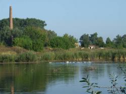 Озеро у старого кирпичного завода