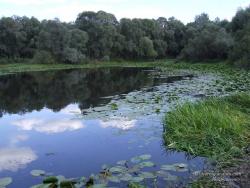 Озеро пойменного типа у реки Десны