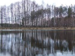 Озеро у села Рудня весной