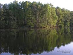 Бернадское озеро у села Чернотичи