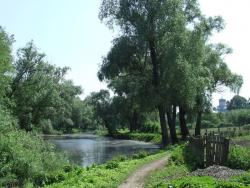 Огород у реки Убедь в Соснице