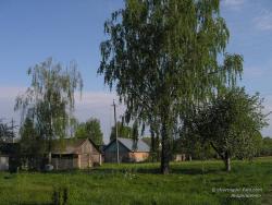 Село Чернотичи в мае