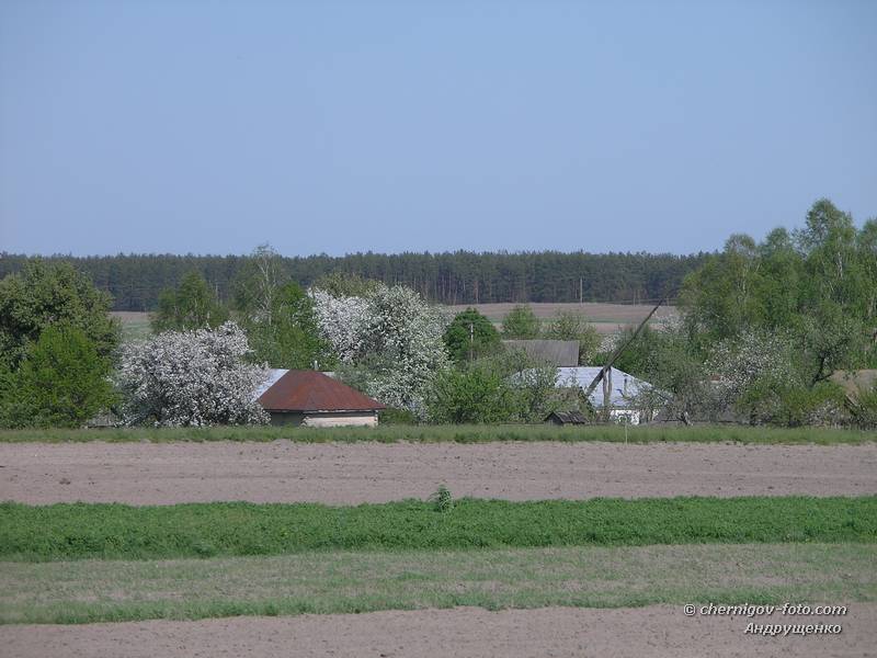 Село Кудровка в мае