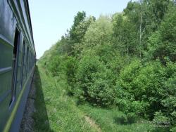 Грузопассажирский поезд среди лесов