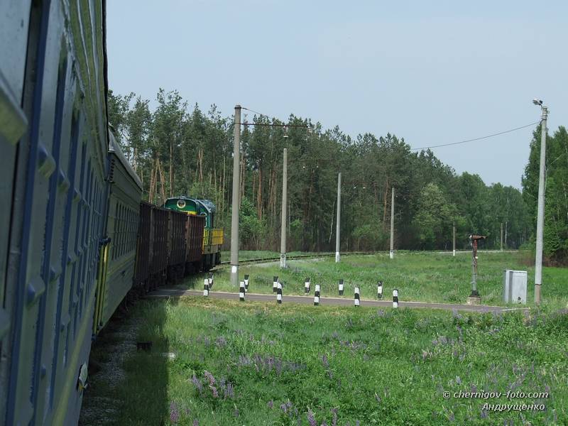 Грузопассажирский поезд Терещенская-Семеновка на переезде
