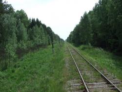 Линия Новгород-Северский - Семеновка в коридоре леса