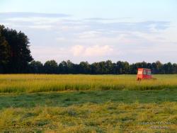 Трактор на покосе травы