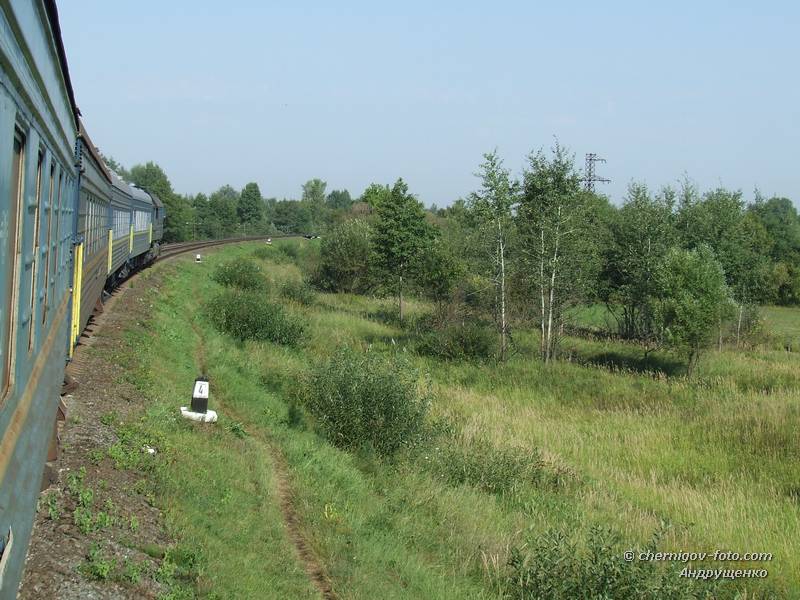 Поезд на перегоне Бондаревка-Макошино