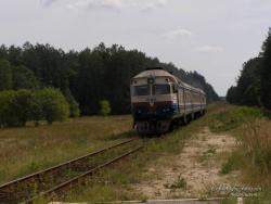 Дизель-поезд на линии Новгород-Северский - Семеновка