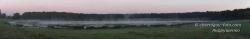 Утренний туман на озере на лугу