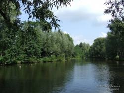 Озеро в селе Сосновка