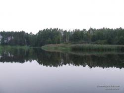 Озеро "Люта" в лесу за селом Кудровка