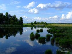 Озеро на окраине леса у села Хотиевка