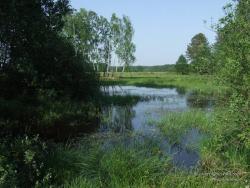 Озеро у села Углы Семеновского района