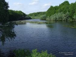 Озеро у села Кудровка летом