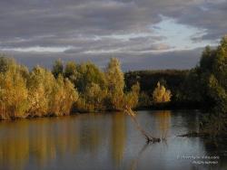 Озеро на окраине села Чернотичи Сосницкого района