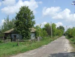 Заброшенный дом в селе Сосновка Соницкого района