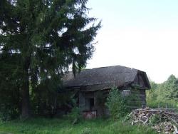 Заброшенный дом в селе Сосновка Сосницкого района