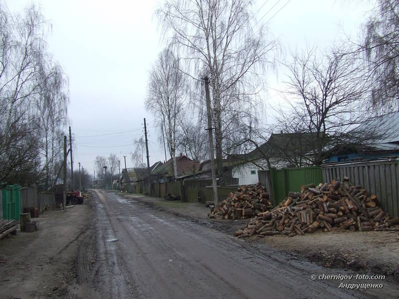 Заготовка дров на сельской улице