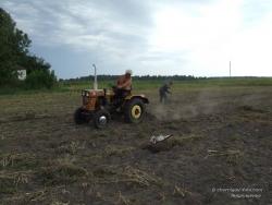 Копание картофеля трактором