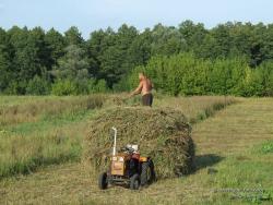 Заготовка травы на поле